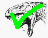 a dinosaur!