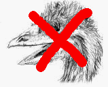 NOT a dinosaur!