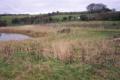 Image 14-infront-of-pond3
